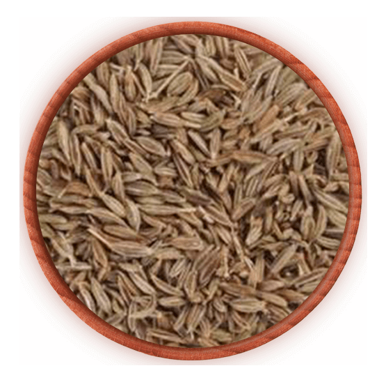 Приправа зіра купити оптом, ціна за 1 кг в інтернет-магазині спецій